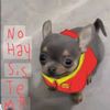 luis.29ks