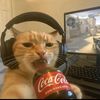 nawwna_4