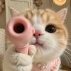 _mufida8