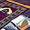 parwaz.khan554