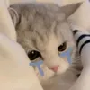 hi882657