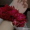 beera.rajpoot