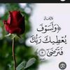 user9081767071199