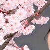 yangmiemie16