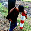 fafu_vaiya0