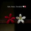 lightofdeen_misha