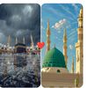 aliislam243