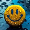 user315131886