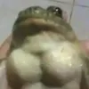 rex_edition062