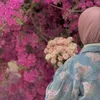 enas__160