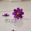 khasojani7