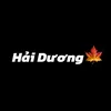 hai.dng009