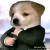 khangliu78