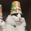 abbadonwantfruitloops