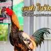 .sg.farm.korat