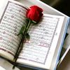 user8561224942303