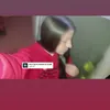 bianquii_ferrarii01