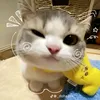 Mee phim 🐝🐝