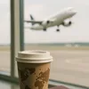 🌏🦅✈️