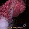 user2320521654408