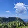 Ai world