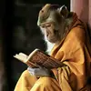 Kiến Thức Phật Pháp 🪷