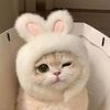 leah.q82