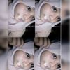 pita_kacip