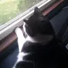 toddywoddy8