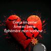 capizone.366