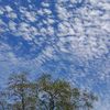 alex_38761