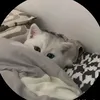 diwankmc_29
