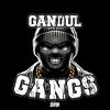 gandul_gangs