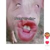 bang_ditz11