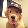 wagkayoditoplss