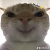 adueken33