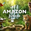 amazonkadu0