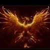 abdullah.afzal331