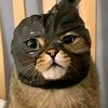 giwtwokk