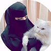 user86245680594411