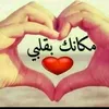 user31180277729248
