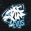 Team Evos