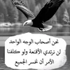 user97007505940623
