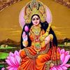 shuvo.ray754