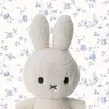 xxxx.kitty2
