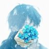 collinbloom7