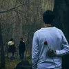 ماكو وفه