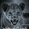 user3486145949063