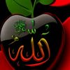 amlmran0