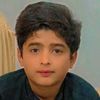 muhammadhussnain7480